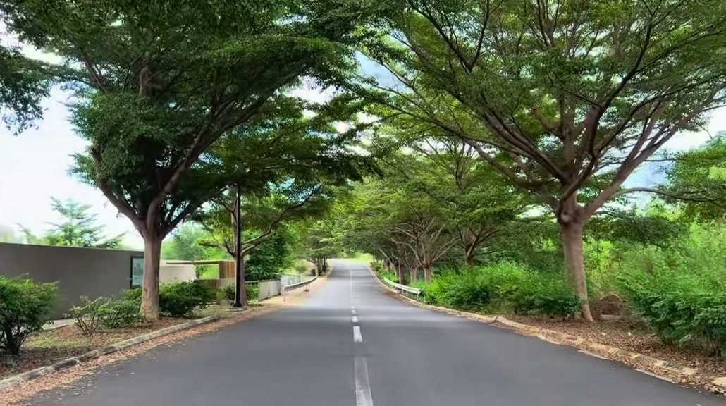 Land for sale in Flic en Flac — photo 1 of 6