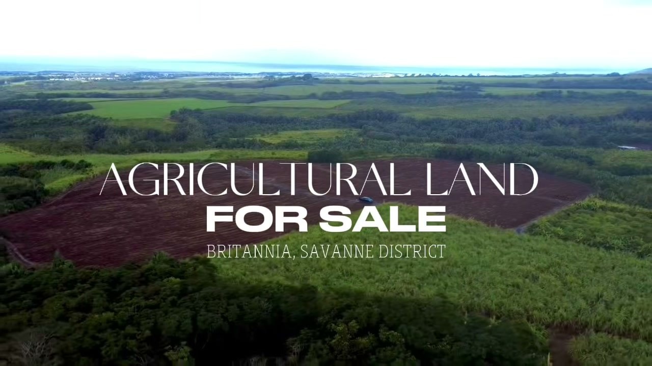 Land for sale in Savanne — photo 1 of 6