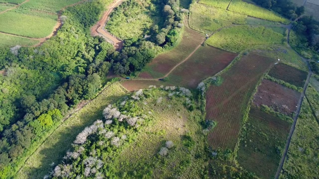 Land for sale in Souillac — video tour still